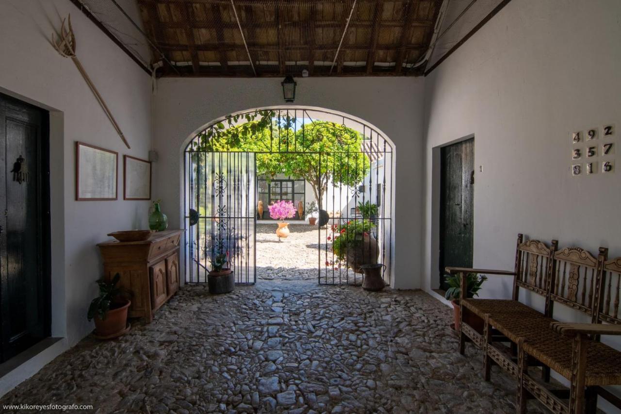 Queen Room Garden View